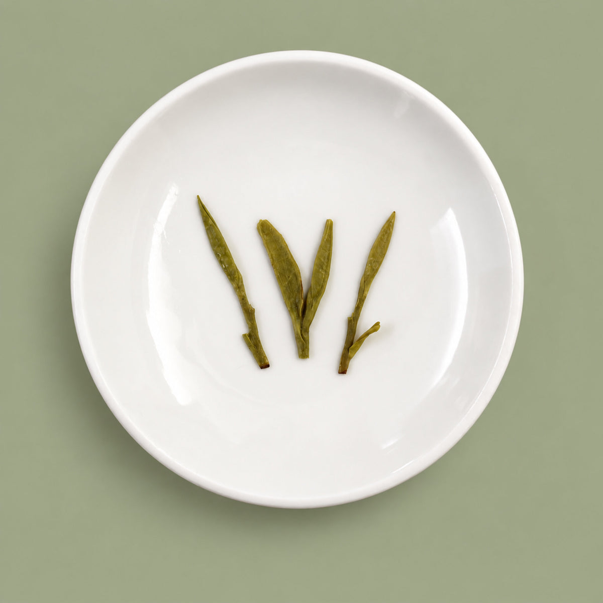 Green tea wet leaves