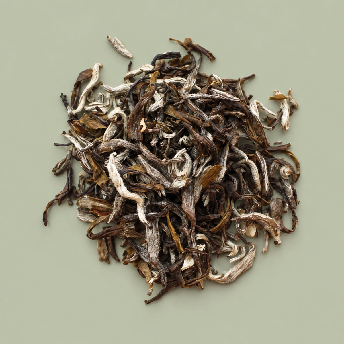Jasmine tea dry leaves