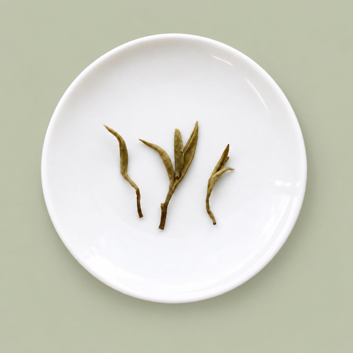 Jasmine tea wet leaves