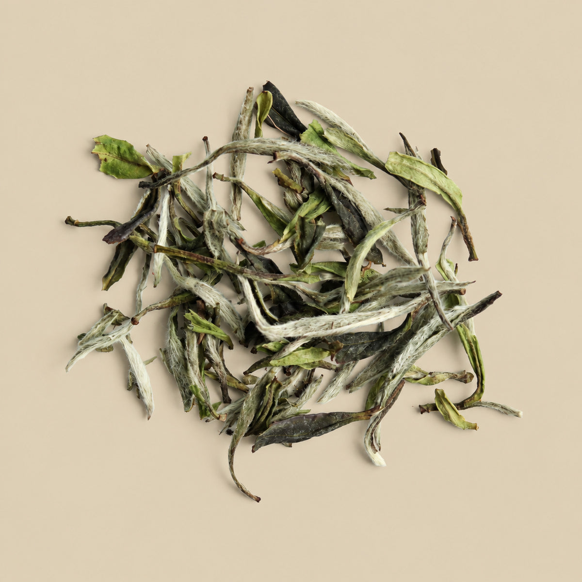 White tea dry leaf