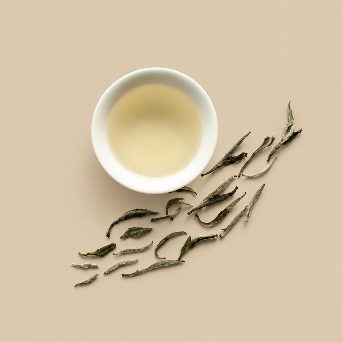 White tea liquor with dry leaf