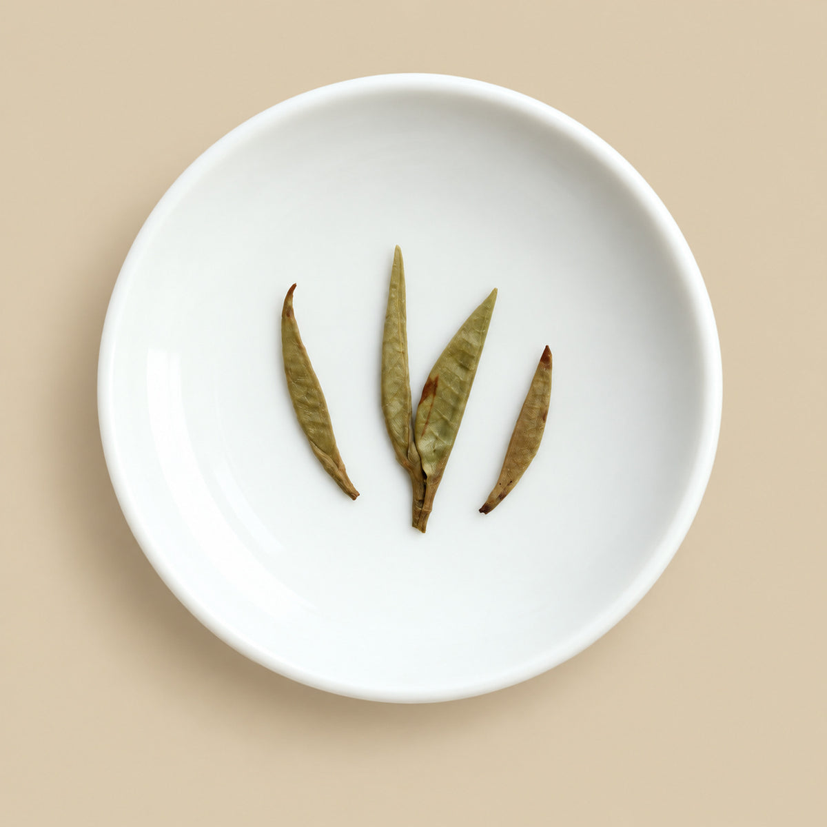 White tea wet leaf